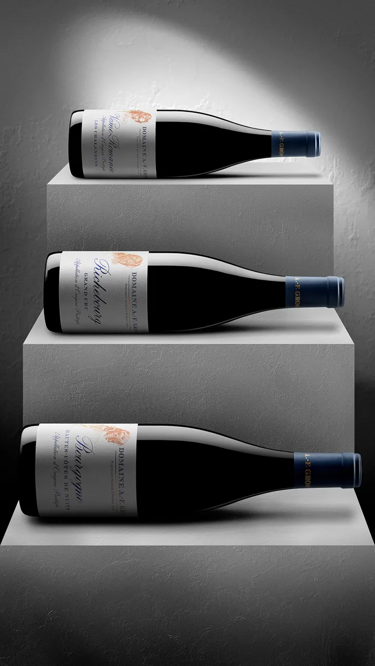 Botellas de vino dispuestas sobre pedestales grises · Fotografía de producto, TimeLäB Studio Barcelona